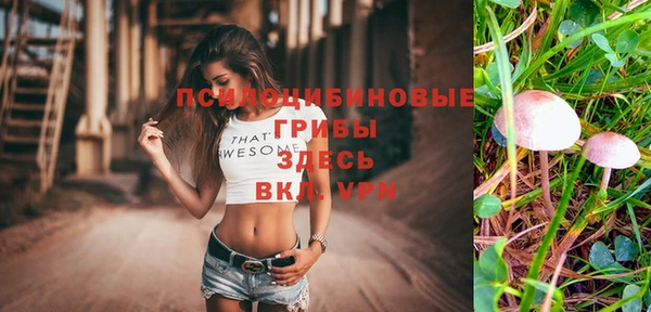 марки lsd Протвино